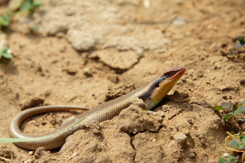 c_2015_08_26 12_17_40_367